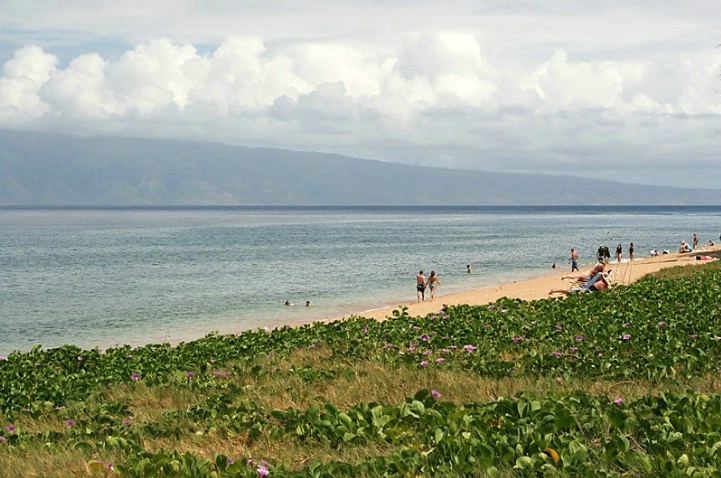 At the Beach