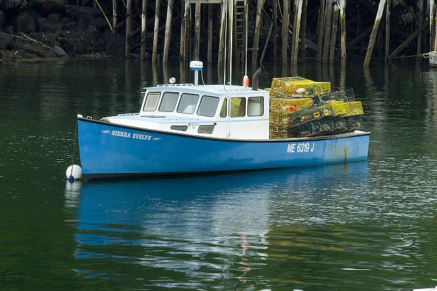 M31 New Harbor, ME