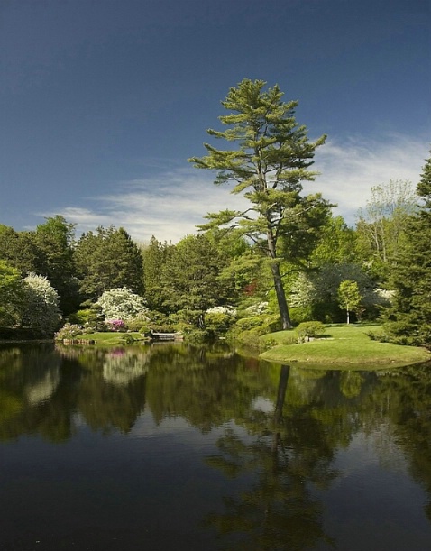 M33 Garden,Acadia National Park, ME