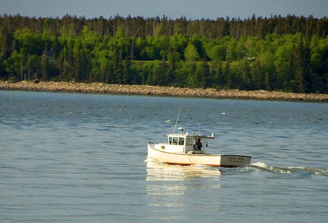 M29 Fishing Boat,Br Harbor, ME