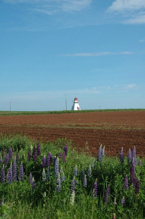 Pei_41