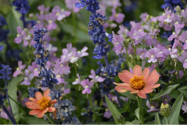 garden bouquet