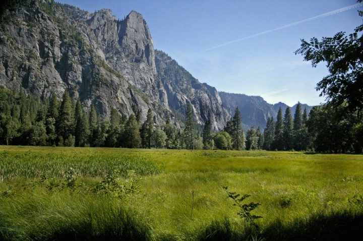 Yosemite Valley meadow 