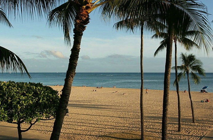 A Perfect Beach Day