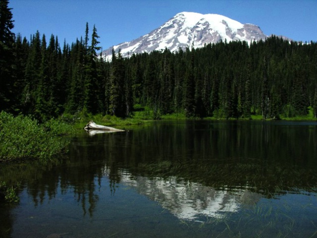 Mt Rainier Reflection lake