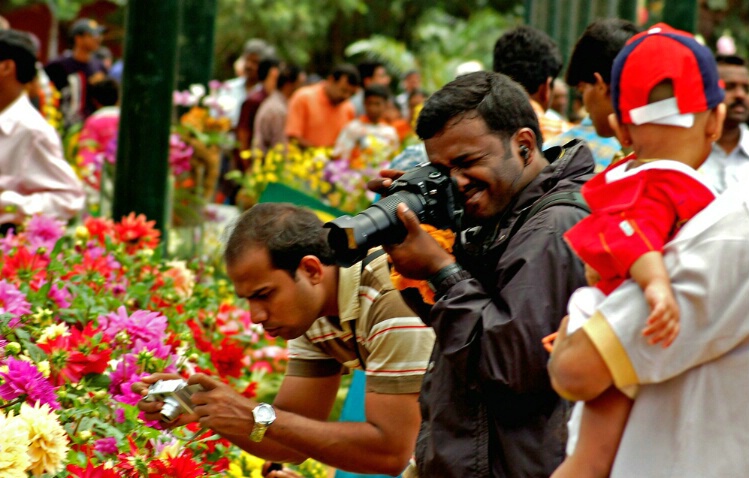 busy photographers