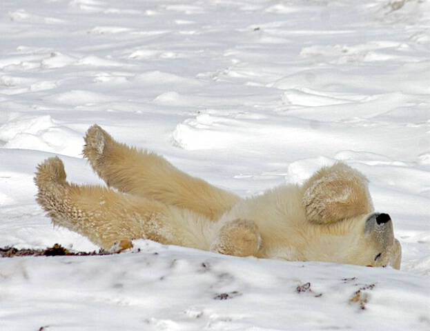 Having fun in the snow