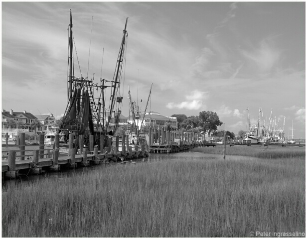 Shem Creek-15