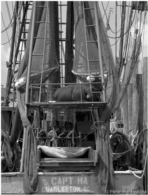 Shem Creek-10