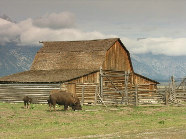 Mormon barn, WY
