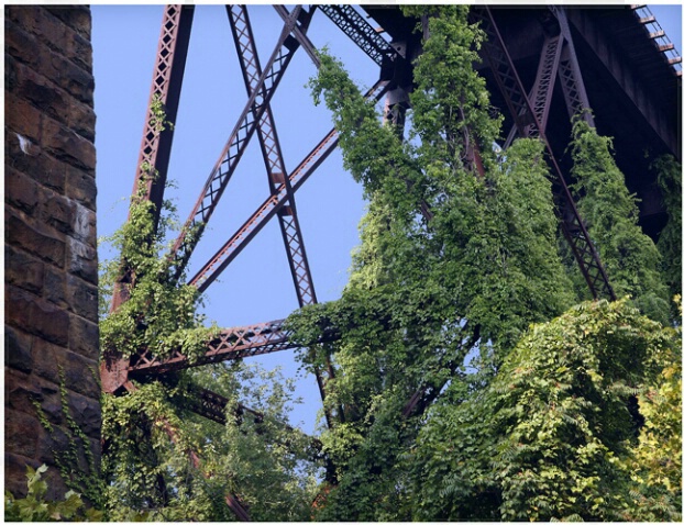 Downingtown Trestle #253