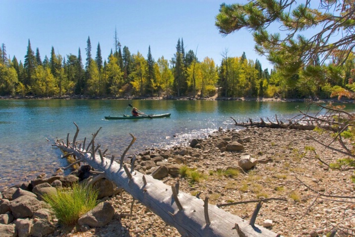 Paddling into beauty...