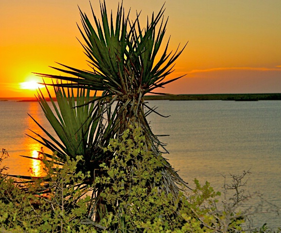 Parting Sunset Lake Amistad