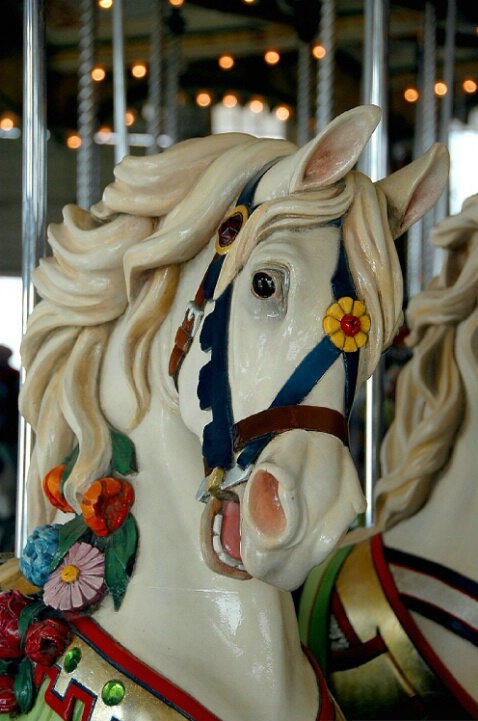 56 Paragon Park Carousel,MA