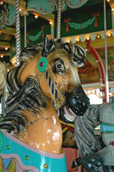 61 Paragon Park Carousel,MA