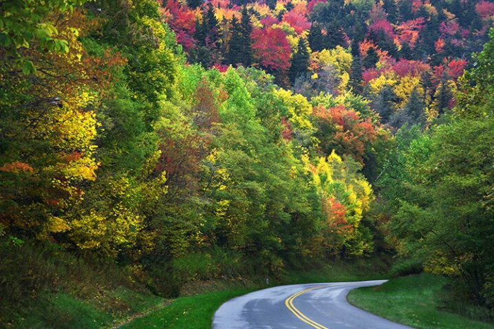 Road into fall color