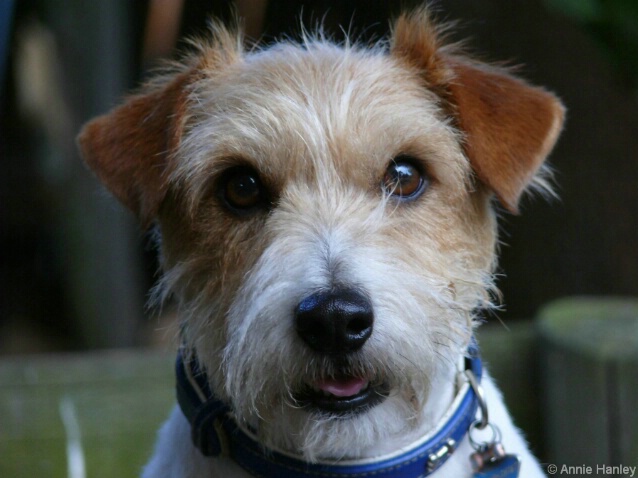 Me stay still? You're joking!