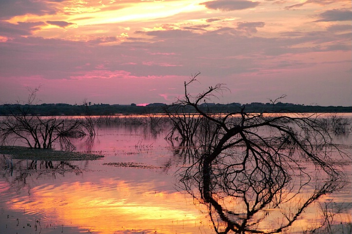 Sunset, Silhouettes & reflected Shadows