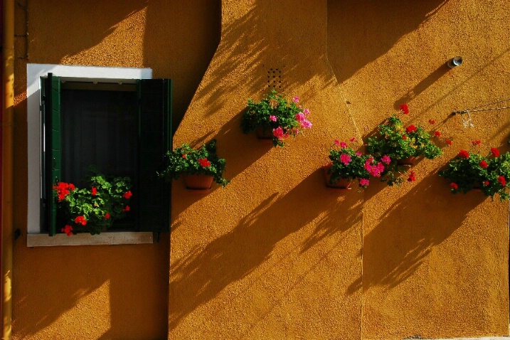 Wall Shadows