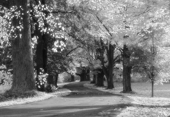 B&W28 Country Road,MA