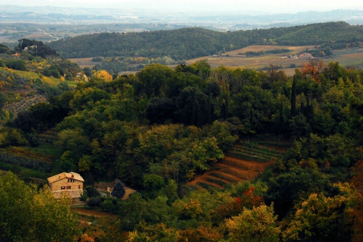 Tuscan Afternoon