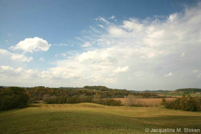 Iowa fields with fall color - NE Iowa