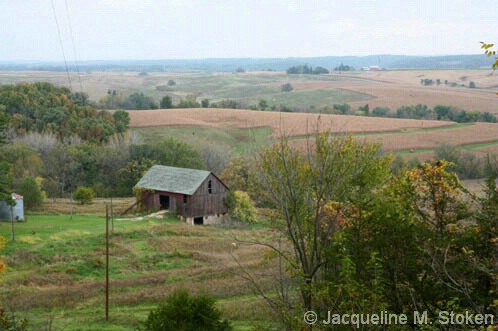 Iowa Farms - NE Iowa