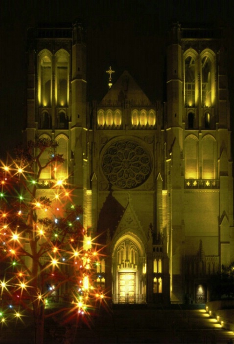 Grace Cathedral Christmas Lights