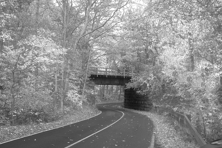 B&W31 Back Road, Falmouth,MA