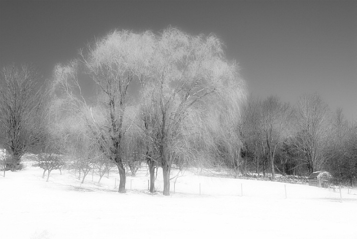 B&W34 Winter Field,NH