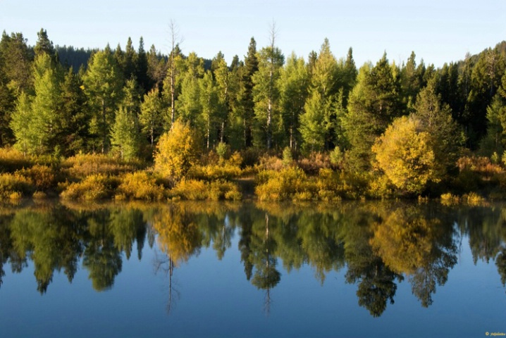 Along Snake River