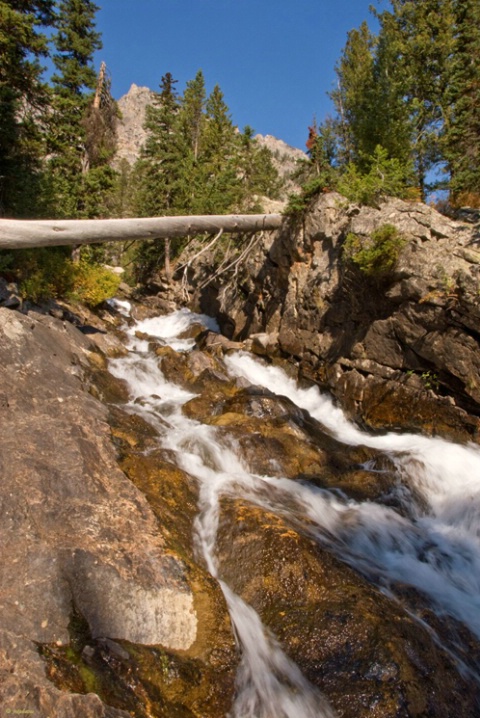 Hidden Falls area