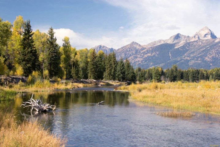 Along the Snake River