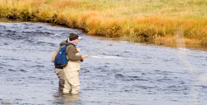 Fly fishing