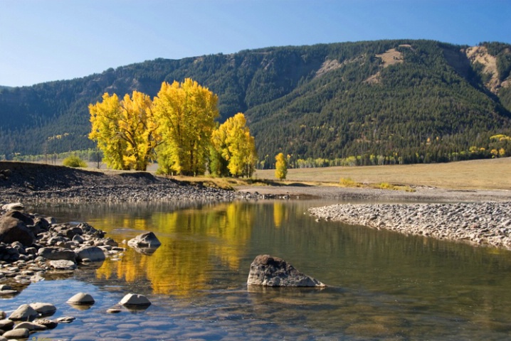 Reflections in Lamar River