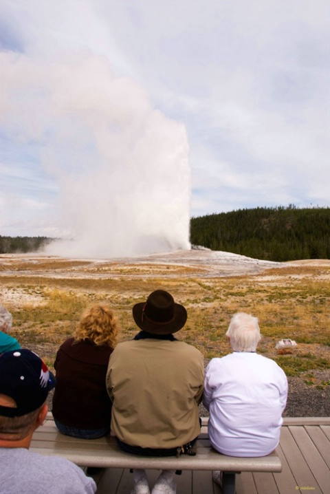 Watching Old Faithful