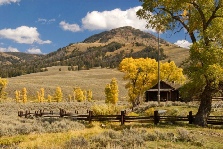 Lamar Valley Fall