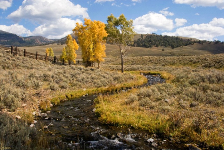 Lamar Valley Ranger Station