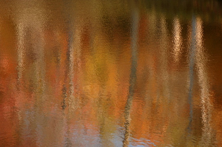 Fall Glory Reflection