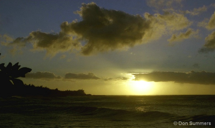 North Shore Oahu, HI 2006