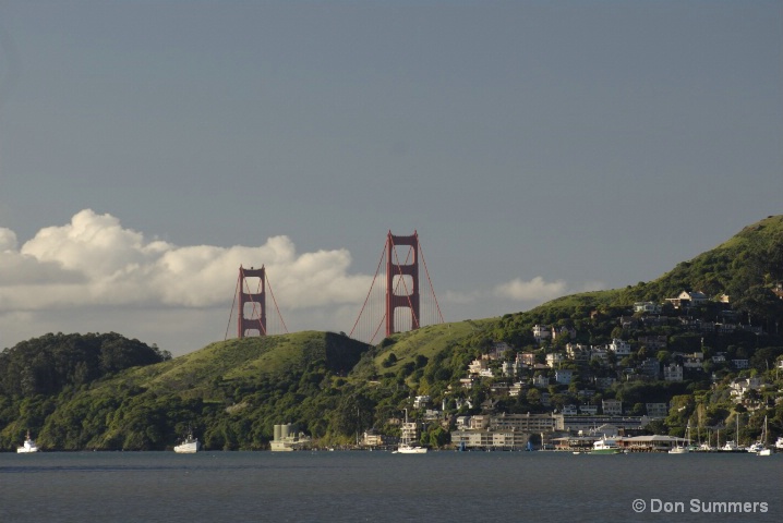 Sausalito and Bridge Towers