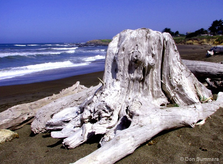 Cambria, CA 2006