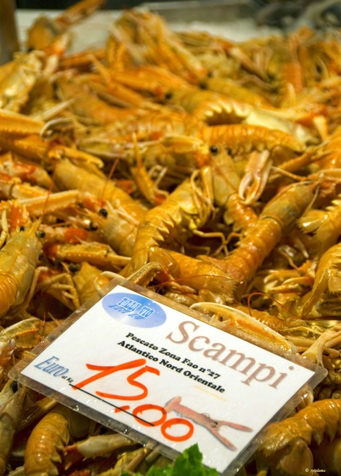 Shrimp - fish market