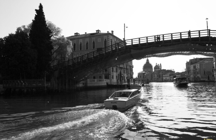 Cab going under Ponte Dell Accademia