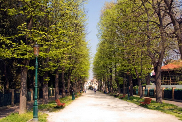 The Garden area