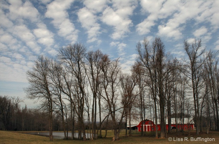 Beautiful Day in the Country