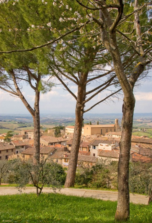 View 2 - San Gimignano