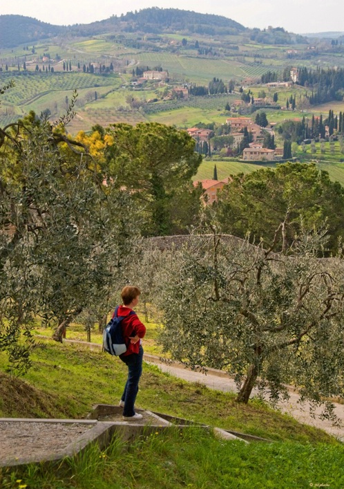 View from hill in San Gimignano