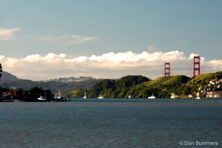 Richardson Bay, Tiburon, CA 2007