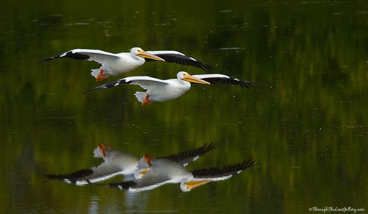 Smooth Sailing...